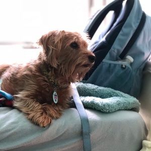 Meet your Posher, Olivia